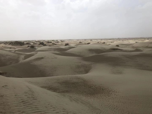 親屬被拘留會經(jīng)歷哪些流程？和坪山律師事務所一起來了解一下吧！