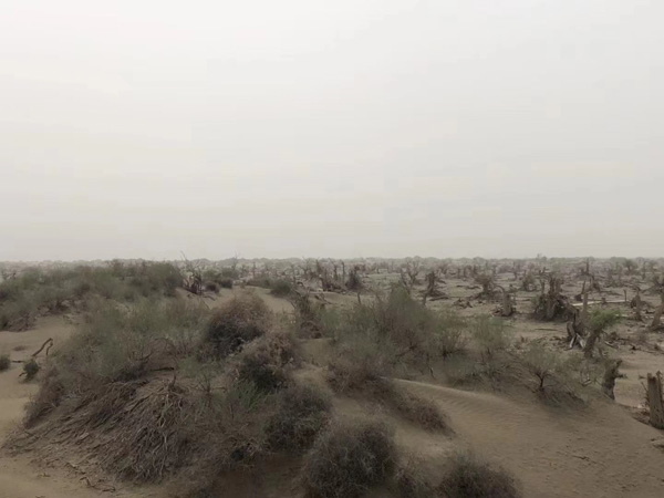 深圳婚姻律師告訴您在撫養(yǎng)權(quán)糾紛中如何判斷孩子的最佳利益