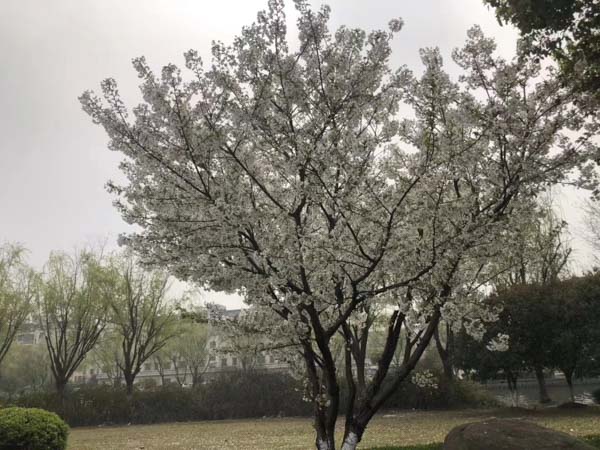 如果一方提出離婚另一方不離怎么辦?深圳律師咨詢網(wǎng)為你出招