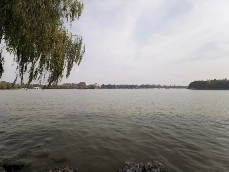 你想知道的公證遺囑法律法規(guī)，坪山律師事務(wù)已整理好