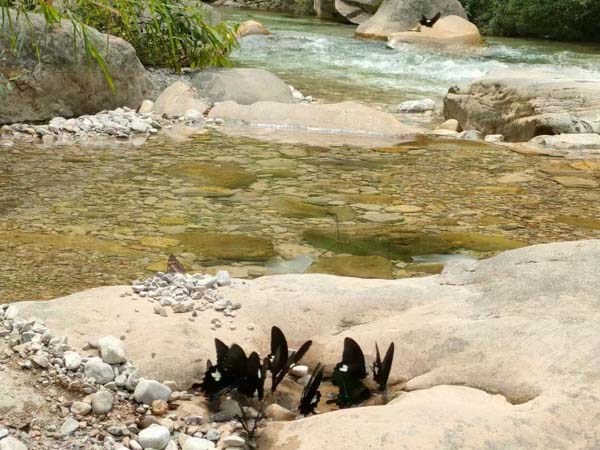 深圳房產(chǎn)知名律師來講講以劃撥土地使用權(quán)與他方簽訂建房合同應(yīng)如何認(rèn)定其效力