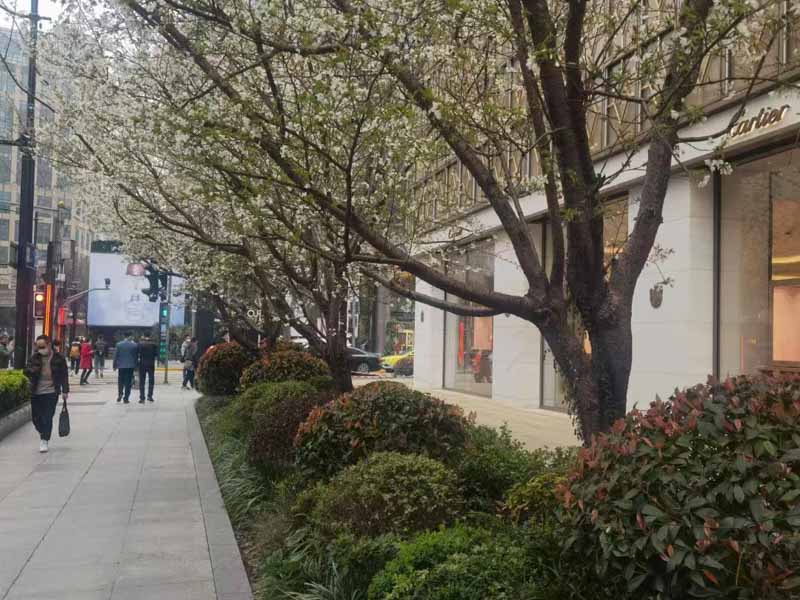 深圳知名離婚律師為您解答夫妻離婚后房產過戶的流程是怎樣的