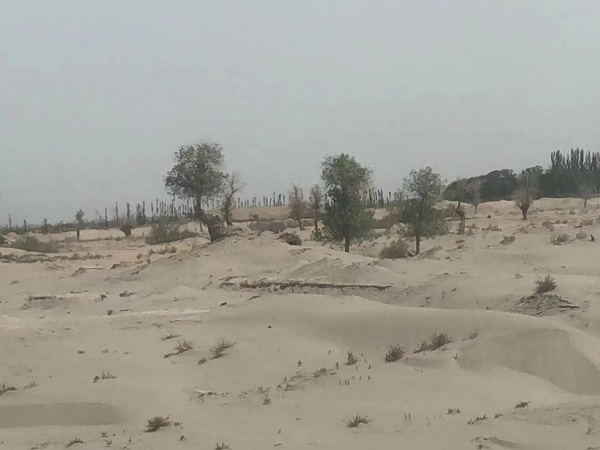 剪不斷理還亂！深圳繼承法律師代理的三大經(jīng)典遺產(chǎn)糾紛案件，你是屬于哪一種？