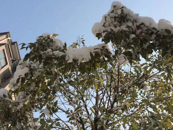 深圳律師事務(wù)所來講講以逃避償還貸款為目的轉(zhuǎn)讓財產(chǎn)的行為是否有效