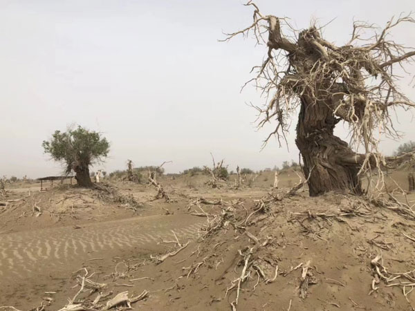 想要離婚？那這些程序你都知道嗎？深圳律師事務(wù)所帶你走進(jìn)離婚程序