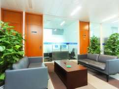 深圳離婚繼承律師