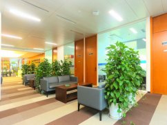 深圳房產(chǎn)合同律師